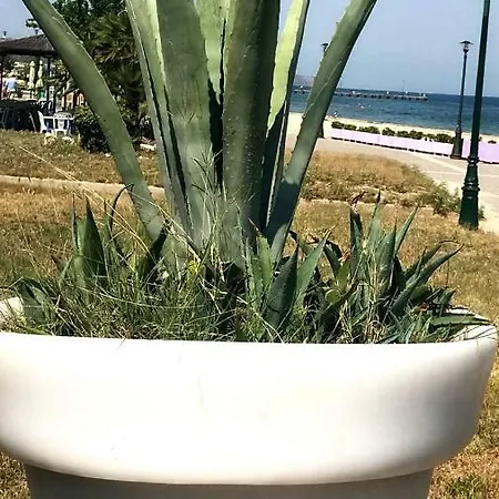 Villa Deluxe Perea *